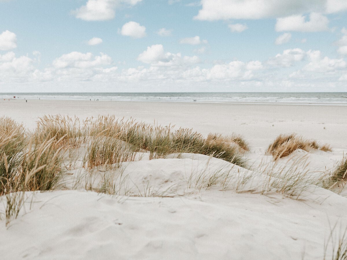 Strand und Meer mit Dünen