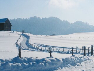 Appartamento per vacanze Obermaiselstein Ambiente 16