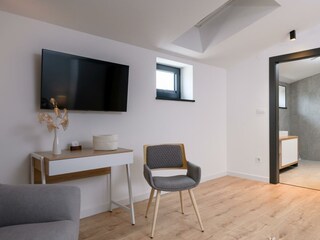 Villa Svetvinčenat Caratteristiche 25