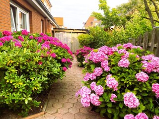 Ferienwohnung Borkum Außenaufnahme 8