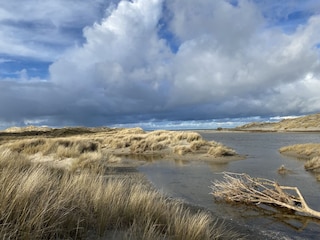 Hinterland
