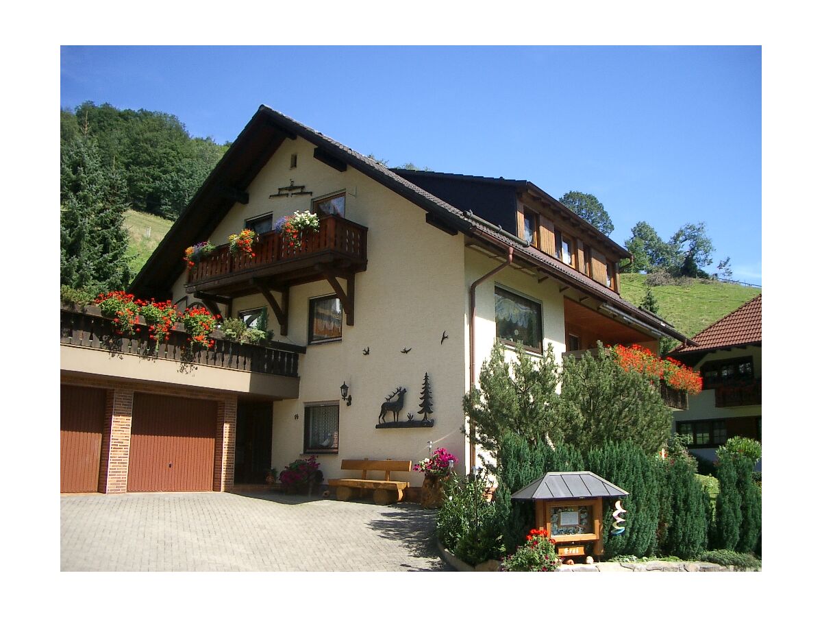 Vakantieappartement Münstertal Buitenaudio-opname 1