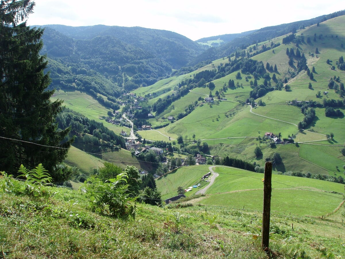 Ferienwohnung Münstertal Umgebung 16