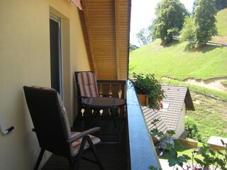 Appartamento per vacanze Münstertal Registrazione all'aperto 9