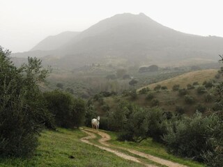 Casa de vacaciones Welt Entorno 38