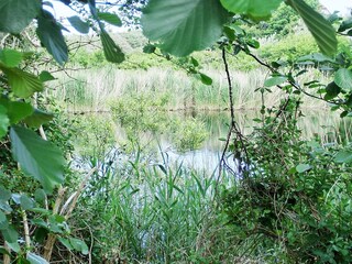 Appartamento per vacanze Langeoog Registrazione all'aperto 7