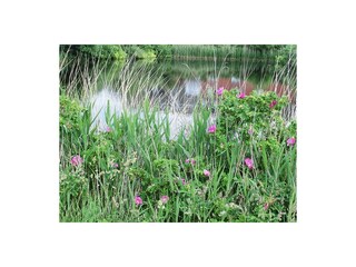 Apartamento de vacaciones Langeoog Grabación al aire libre 12