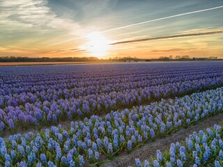 Chalet Noordwijk Ambiente 18