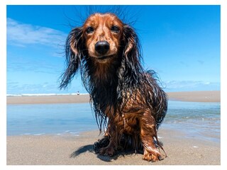 Chalet Noordwijk Ambiente 22