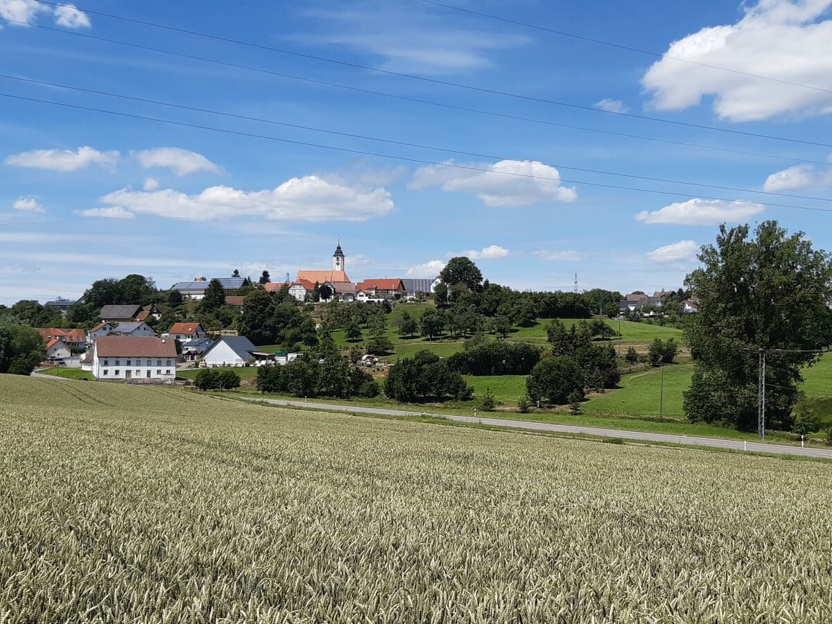 Mainwangen von Süden