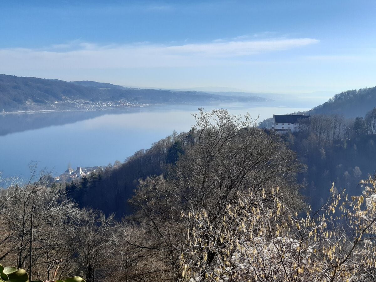 Überlinger See mit Kloster Frauenberg