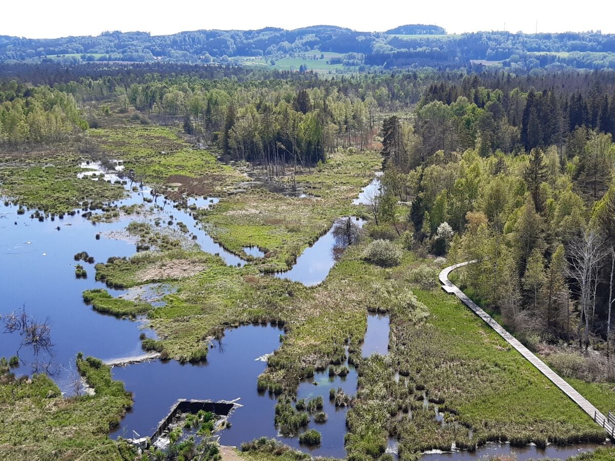 Großer Trauben Moorgebiet