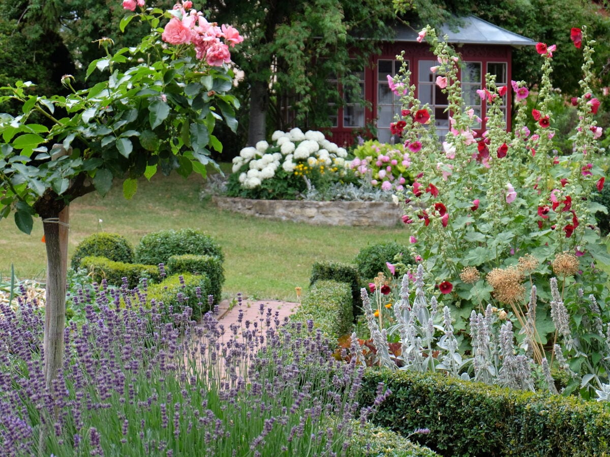 Blick in den Garten