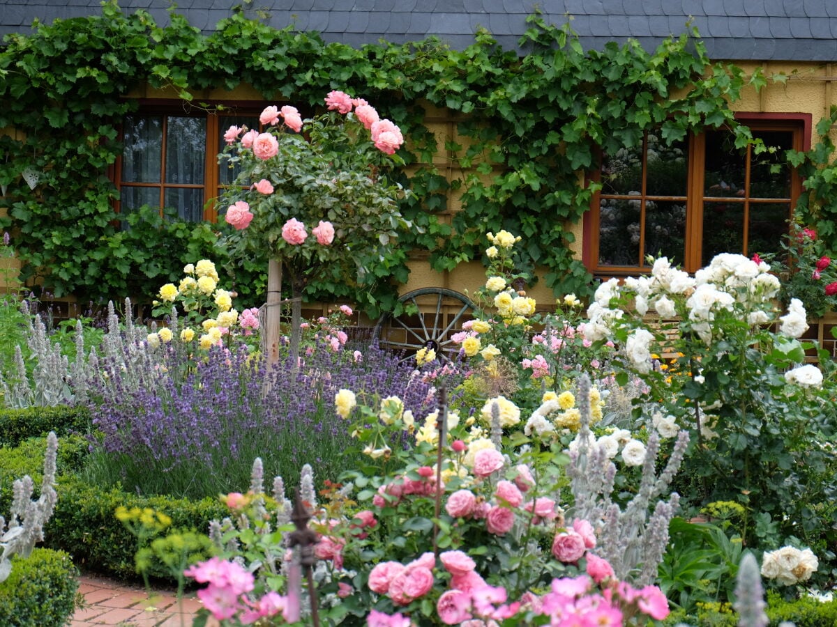 sommerliche Gartenpracht