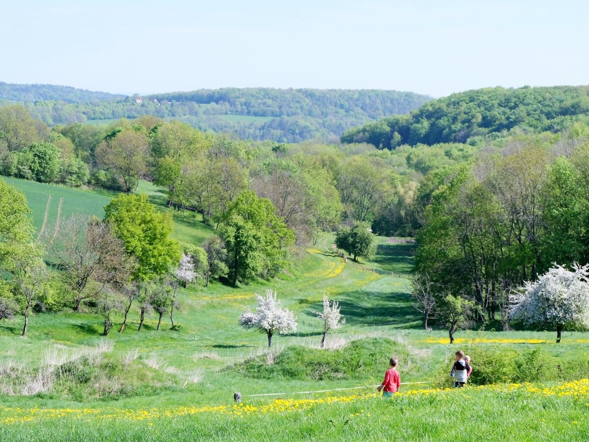 Frühlingsblick ins Tünschgental