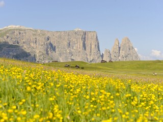 Alpe di Siusi