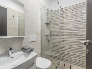 Villa Tinjan Caratteristiche 16