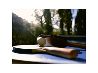 Tischtennis im Garten