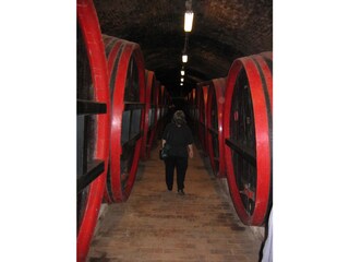 Villa Balatonszemes Entorno 30