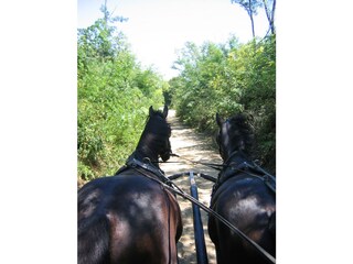 Villa Balatonszemes Omgeving 32