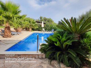 Appartamento Manacor Registrazione all'aperto 8