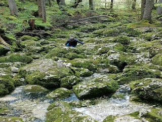 Vakantiehuis Bad Mitterndorf Omgeving 38