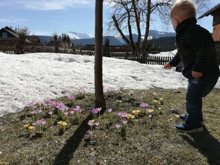 Ferienhaus Bad Mitterndorf Außenaufnahme 3