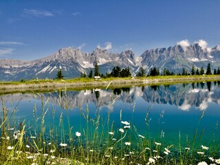Appartamento Kirchberg in Tirol Ambiente 24