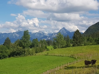 Ausblick und Weitblick