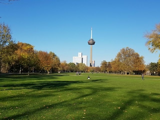 Spazierengehen im nahen Grüngürtel