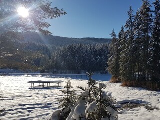 Appartamento per vacanze Seefeld in Tirol Ambiente 34