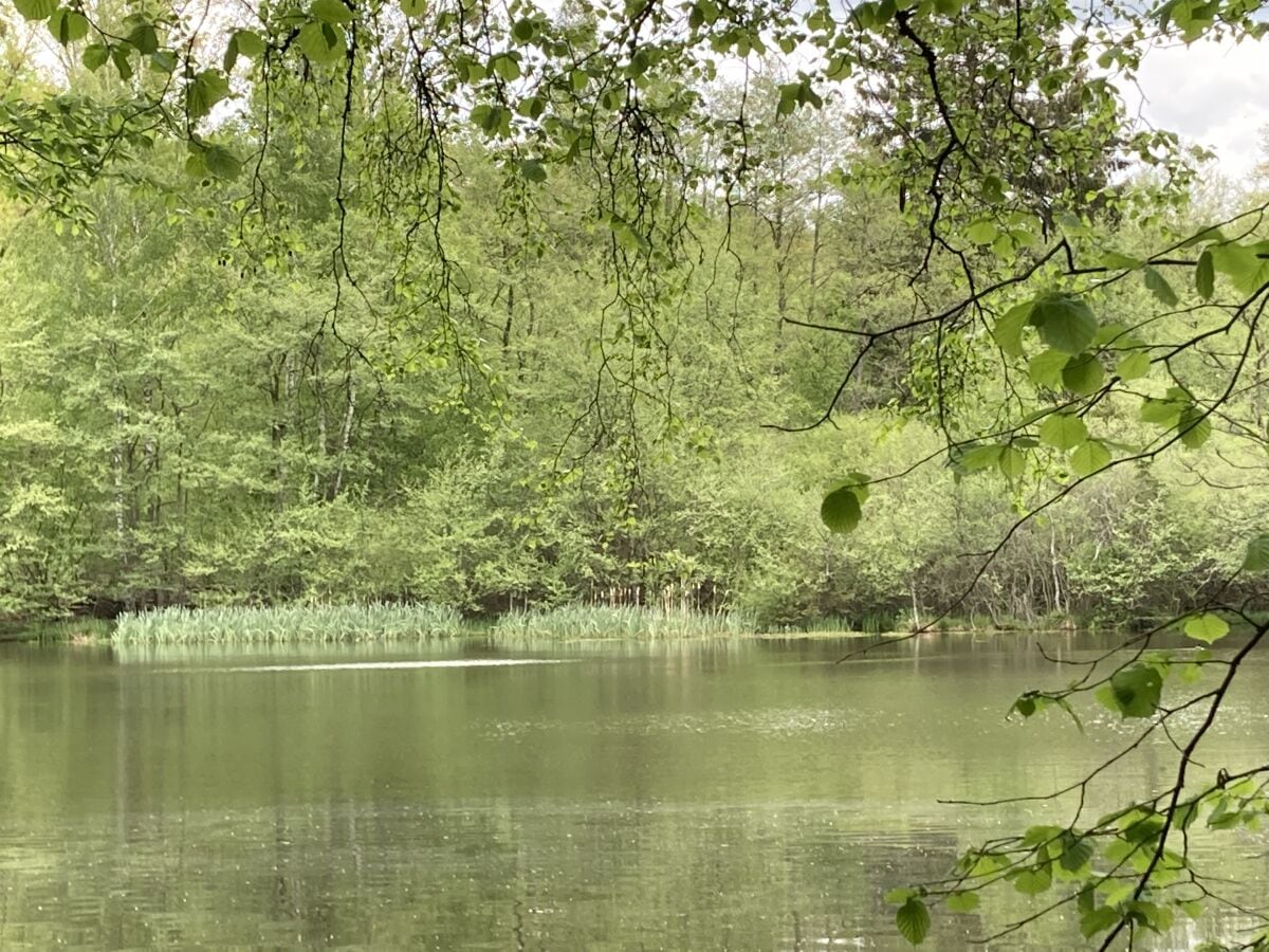 Landshuber  Weiher