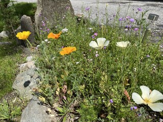 Vakantieappartement Kolsassberg Buitenaudio-opname 7