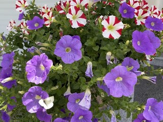 Vakantieappartement Kolsassberg Buitenaudio-opname 8