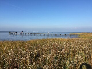 Appartement Dangast Environnement 17