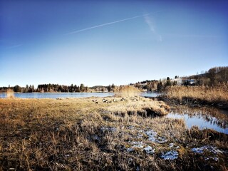 Appartamento per vacanze Oberammergau Ambiente 40