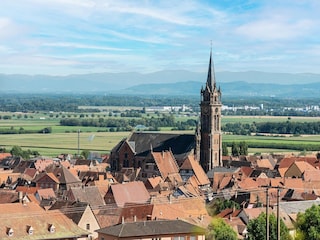 Apartment Dambach-la-Ville Umgebung 28