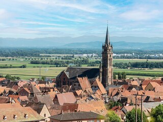 Appartement Dambach-la-Ville Environnement 21