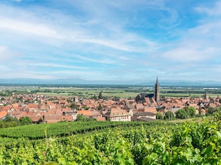 Apartment Dambach-la-Ville Umgebung 19