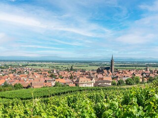 Appartement Dambach-la-Ville Environnement 21