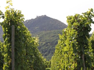 Appartamento Dambach-la-Ville Ambiente 22