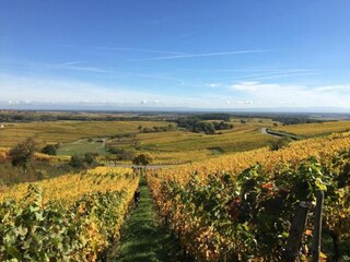 Appartamento Dambach-la-Ville Ambiente 23