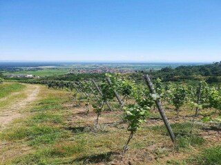 Appartamento Dambach-la-Ville Ambiente 30