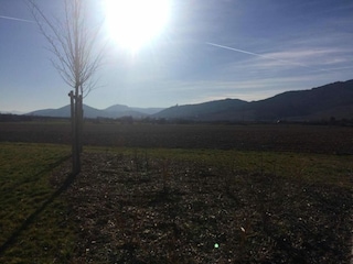 Apartment Dambach-la-Ville Umgebung 31