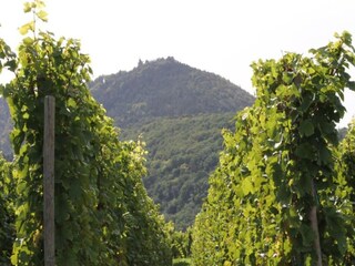 Appartamento Dambach-la-Ville Ambiente 27