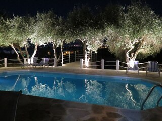 Villa Paphos Buitenaudio-opname 10