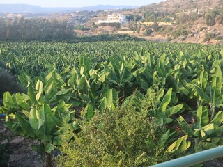 Villa Paphos Ambiente 40