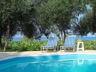 Villa Paphos Registrazione all'aperto 4