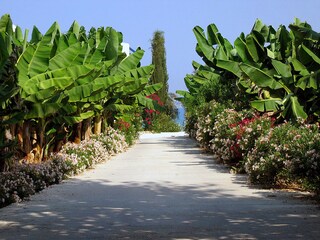 Villa Paphos Environnement 39