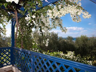 Villa Paphos Registrazione all'aperto 6